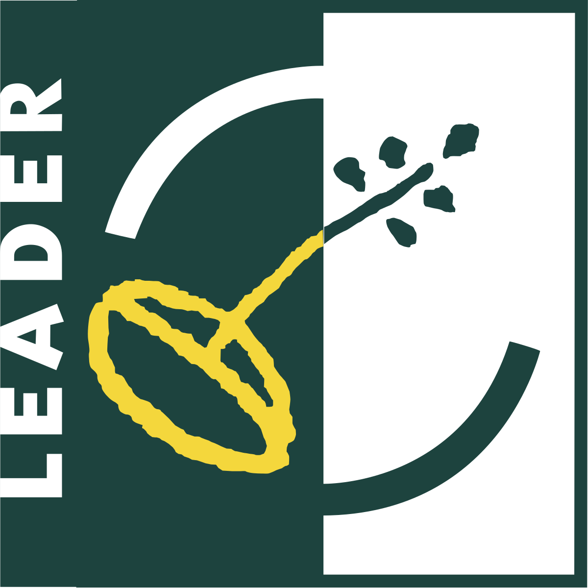 LEADER_logo.svg